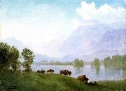 Albert Bierstadt Buffalo Country oil painting artist